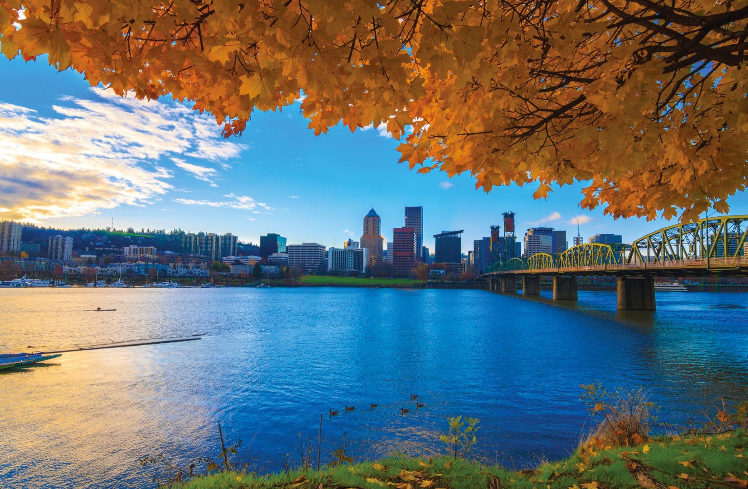 Portland Skyline