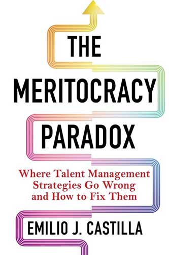 Meritocracy Paradox Book Cover