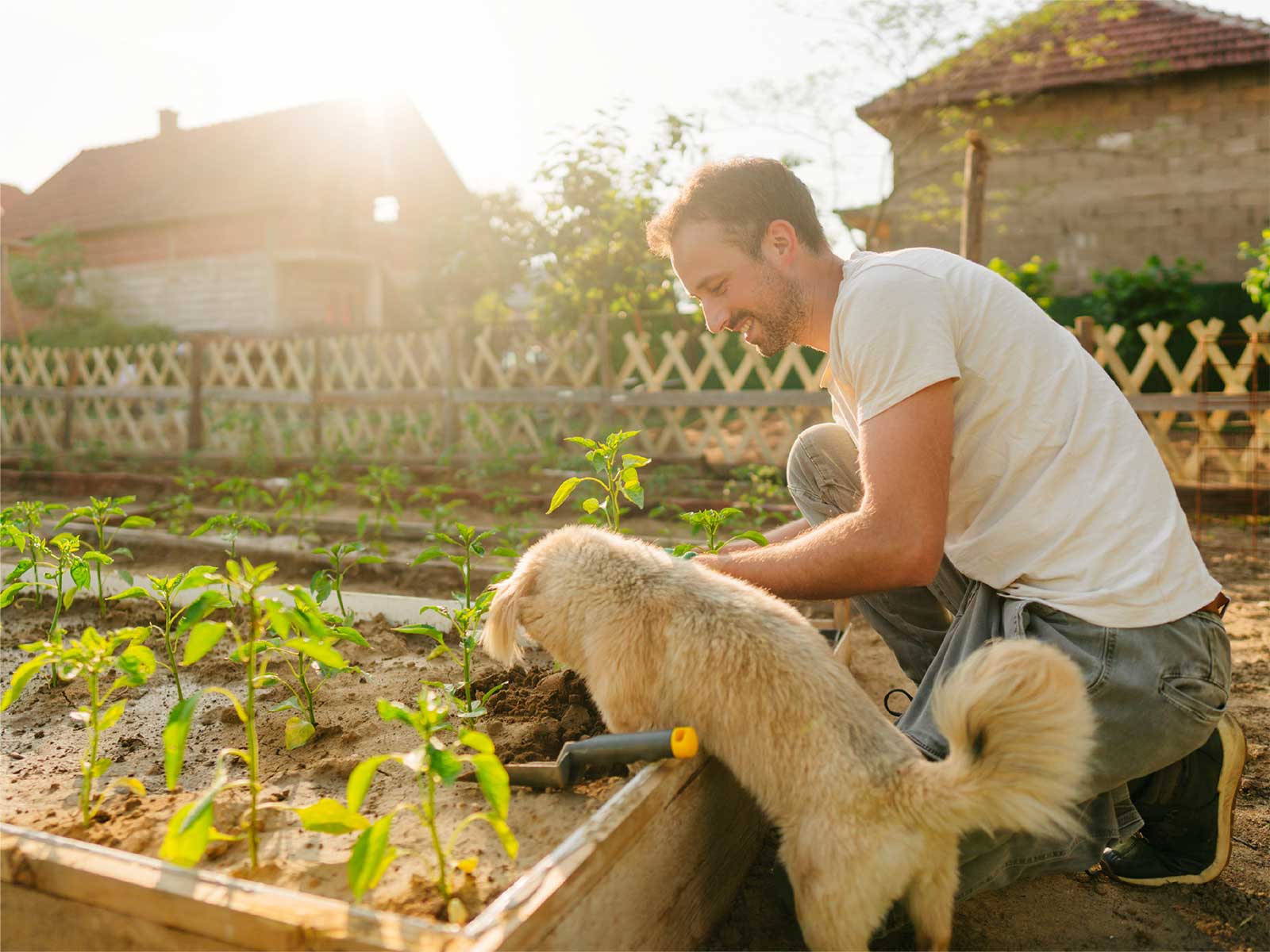 Man gardening with his dog during spring