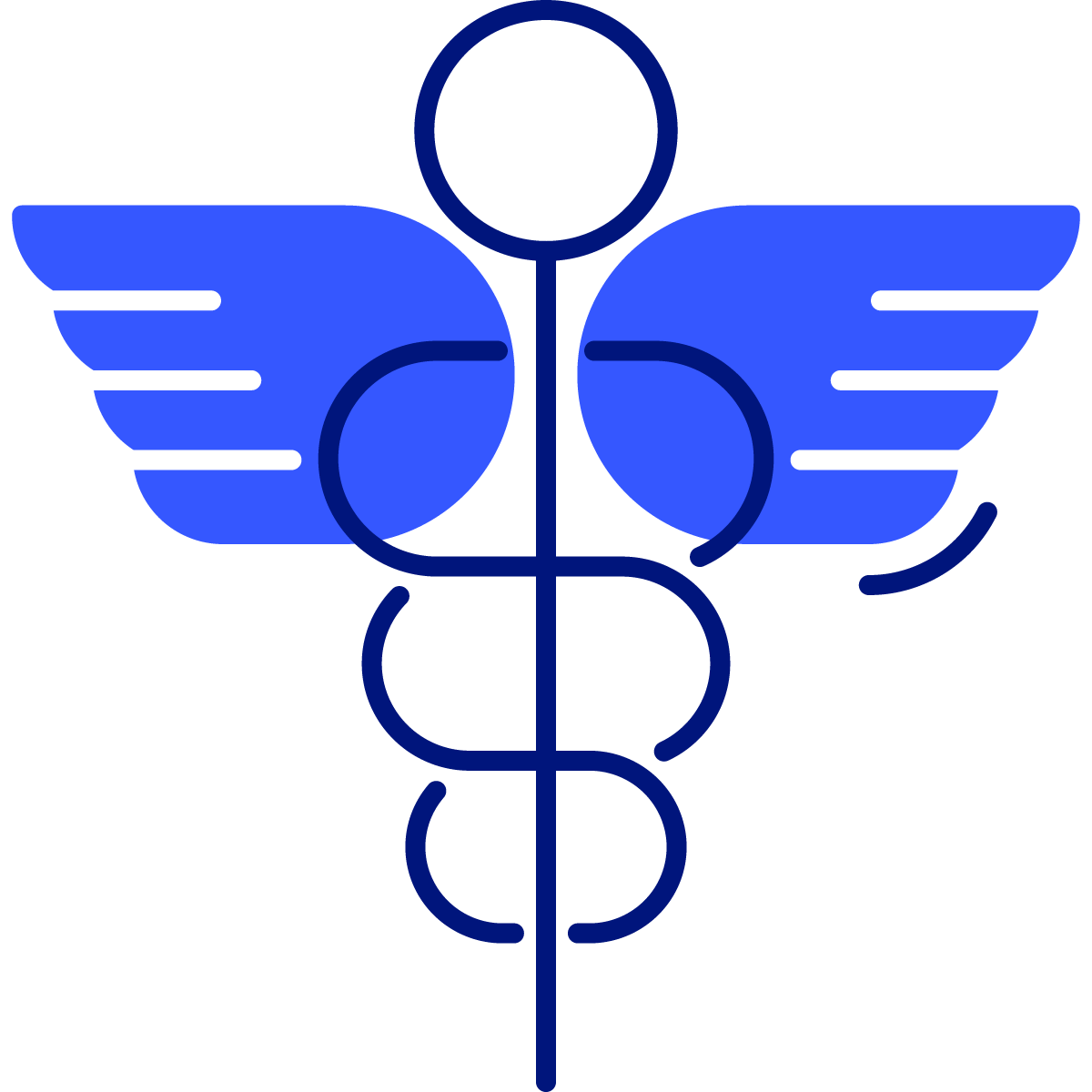 health care icon